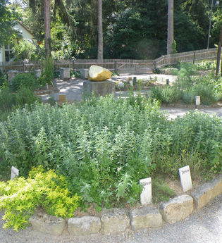 Paracelsus-Gärtchen | © Archiv Stadt Röttingen