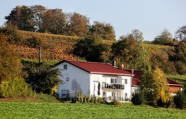 Plag's Weinstube | © Weingut Plag