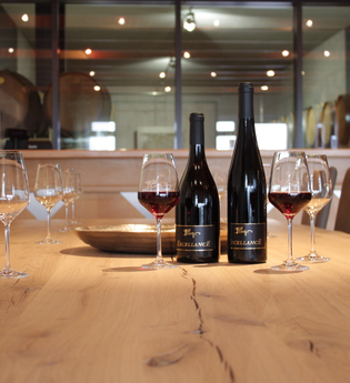 Plag's Weinstube | © Weingut Plag