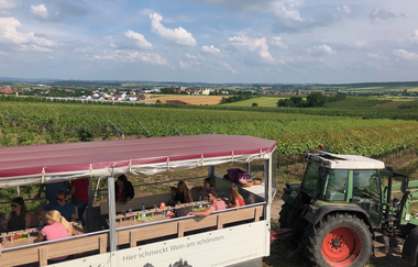 Planwagen Zabergäu-Bummler vor Weinbergen | © Neckar-Zaber-Tourismus e.V.