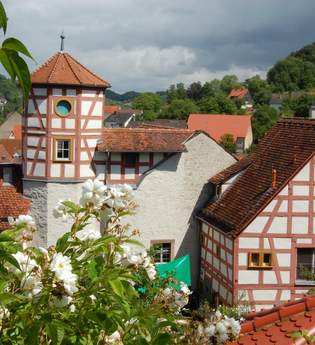 Blick auf das im Fachwerkstil errichtete Romschlössle. Im Vordergrund sind Rosen des dazugehörigen Rosengartens zu sehen. | © Tourist-Information Creglingen