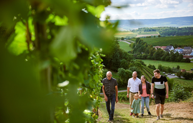Kleingruppe in Weinbergen im Weinort Neipperg | © Neckar-Zaber-Tourismus e.V.