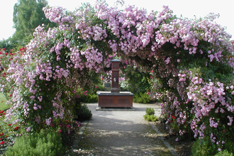 Rosengarten | © Stadt Oberderdingen