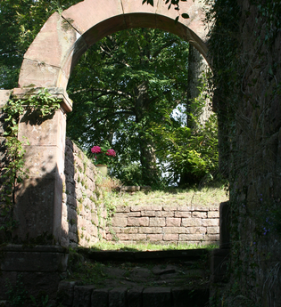 Ruine Reichenstein | © Stadt Neckargemünd