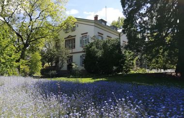 Blaue Blumen vor einem Haus | © Jasmin Wolf