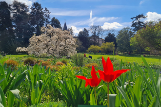 Schau- und Sichtungsgarten Hermannshof | © Cornelia Eicher