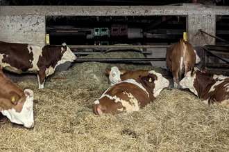 Schleicher Hof | © BTMV Bruchsal