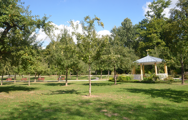 Blick in den von Bäumen gesäumten Schlosspark Bad Mergentheim. Im Hintergrund ist ein Pavillon zu sehen. | © Tourismusverband "Liebliches Taubertal" e.V.