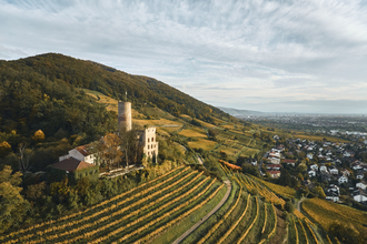 Weinberge mit Burg auf einem Hügel, darunter ein Dorf. | © Landratsamt Rhein-Neckar-Kreis