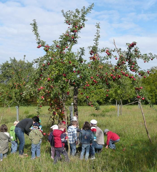Streuobstmuseum Bruchsal | © BTMV Bruchsal