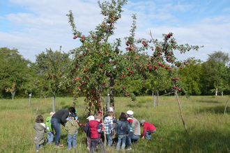 Streuobstmuseum Bruchsal | © BTMV Bruchsal