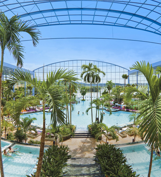 Palmenparadies | Thermen & Badewelt Sinsheim | © Thermen & Badewelt Sinsheim