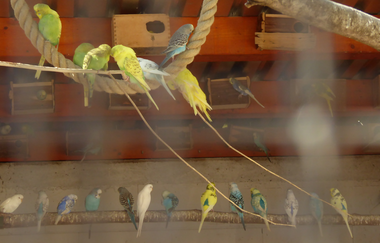 Tier- und Vogelpark Reilingen | © Landratsamt Rhein-Neckar-Kreis