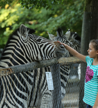 Tierpark Bretten | © Tierpark Bretten