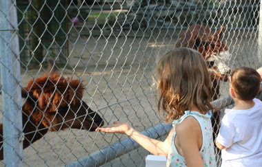 Tierpark Walldorf | © Landratsamt Rhein-Neckar-Kreis