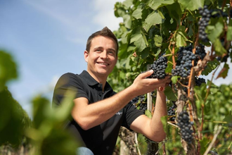 Tobias Schifferer | © Weingut Tobias Schifferer