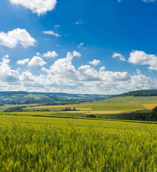 Tourismusverband "Liebliches Taubertal" e.V. | © Liebliches Taubertal