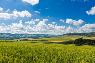 Tourismusverband "Liebliches Taubertal" e.V. | © Liebliches Taubertal