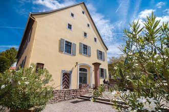 Tourist Information in der Stadtbibliothek, Ladenburg | © Stadtverwaltung Ladenburg