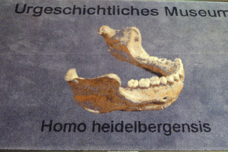 Urgeschichtliches Museum in Mauer | © Beate Otto