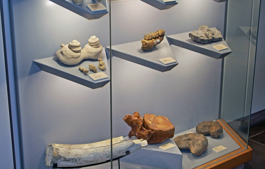 Urgeschichtliches Museum in Mauer | © Werner Hilscher