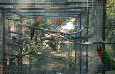 Vogelpark Altlußheim | © Landratsamt Rhein-Neckar-Kreis