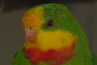 Vogelpark St. Leon-Rot | © Landratsamt Rhein-Neckar-Kreis