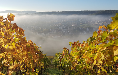 Waldkletterpark Weinsberg - Klettern in bester Aussichtslage | HeilbronnerLand | © Waldkletterpark Weinsberg GmbH