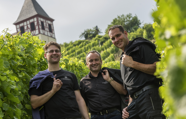 Weingärtner Cleebronn-Güglingen eG