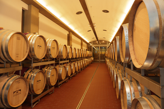 Führung der durch den Weinkeller der Weingärtner Stromberg-Zabergäu | Brackenheim | HeilbronnerLand | © Weingärtner Stromberg-Zabergäu eG