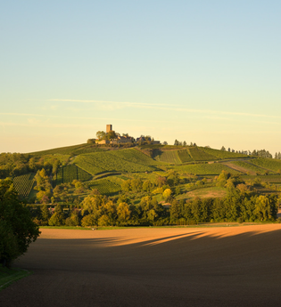 Weingut Burg Ravensburg | © Heitlinger Genusswelten