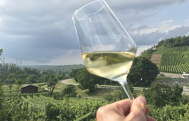Weingut Eisele | © Weingut Eisele