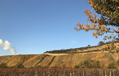 Weingut Eisele | © Weingut Eisele