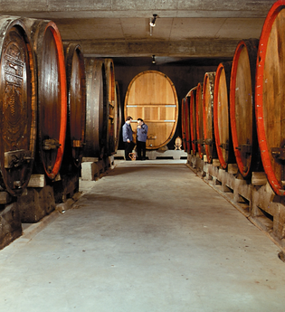 Weingut Glocke | © Weingut Glocke
