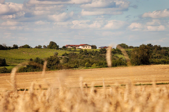 Weingut Honold | © WEINGUT LUDWIG HONOLD