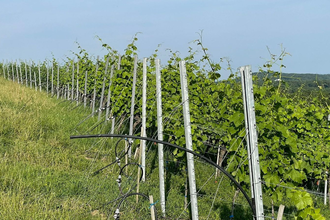 Weingut Jaggy | © Weingut Jaggy
