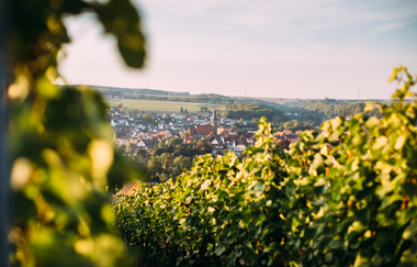Weingut Kinzinger | © Land der 1000 Hügel - Kraichgau-Stromberg