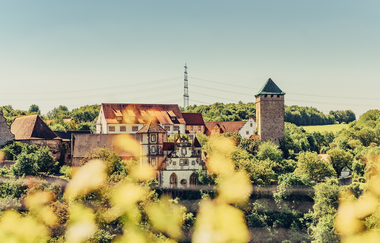 Blick auf eine Schlossanlage zwischen Wald und Weinbergen | © Touristikgemeinschaft HeilbronnerLand e.V.