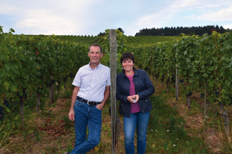 Weingut Schlör | © Weingut Schlör