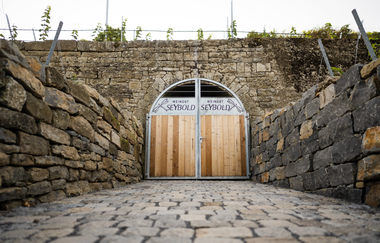 Planwagen Fräulein Lybell | Weingut Seybold | Fahrt durch die Weinberge des Weinsüden Weinorts Lauffen am Neckar