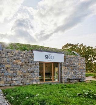 Weingut Siggi in Hessigheim | © Weingut Siggi
