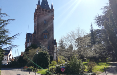 Weinheimer Schloss mit Schlosspark | © Jasmin Wolf