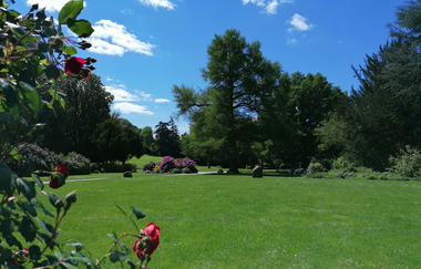 Weinheimer Schloss mit Schlosspark | © Jasmin Wolf