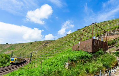 Weininformationspavillon an der Himmelsleiter Besigheim | © 3B-Tourismus-Team
