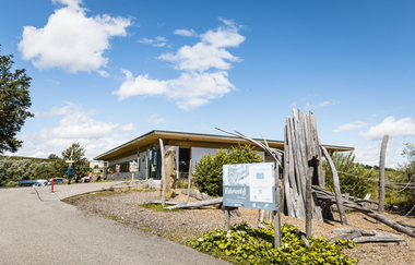 Außenaufnahme vom Spielplatz "Wildkatzenwelt". Stehende und liegende Bäume dienen als Klettermöglichkeit. | © Tourismus Marketing GmbH Baden-Württemberg