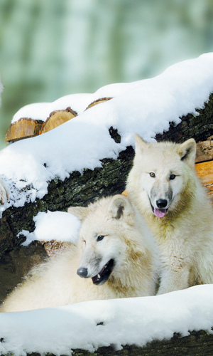 © Erlebnispark Tripsdrill