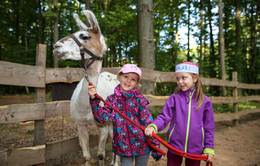 Zwei Kinder führen ein Lama an der Leine | © ps:ag