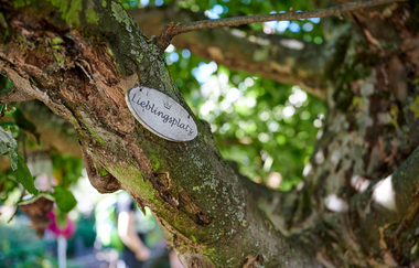 Schild mit der Aufschrift "Lieblingsplatz" befestigt an einem Baum | Winzercafé Neipperg | Brackenheim | Lieblingsplatz | © Neckar-Zaber-Tourismus e.V.