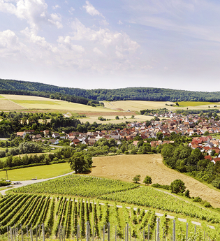 Winzergemeinschaft Franken eG | © WinzergemeinschaftFranken