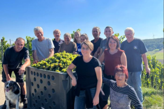 Winzerhof Fries | © Winzerhof Fries